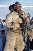 Mamarut, an Inuit hunter, dressed in polar bear skin trousers and a sheepskin lined anorak, leans against his sled drinking a mug of tea during a break on a hunting trip in Melville Bay.  Northwest Greenland. (1980)