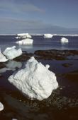 Icebergs during the summer months in Inglefield Bay. Northwest Greenland. 1980