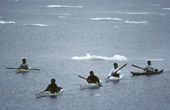 Inuit hunters use kayaks for hunting in the Summer. Inglefield Bay, Thule, Northwest Greenland. 1980