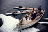 Inuit hunters brew tea in an open boat while Narwhal hunting in Inglefield Bay. Northwest Greenland. 1980
