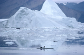 An Inuit hunter out in his kayak in the ice strewn waters of Inglefield Bredning, N.W. Greenland. 1980