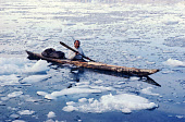 Qulutanguaq, an Inuit hunter, out Narwhal hunting in his sealskin covered kayak near Qeqertat in Inglefield Bredening, Northwest Greenland. (1980) Northwest Greenland. 1980