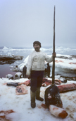 Inuit hunter, Jakob Petersen, stands proudly holding a seven foot Narwhal tusk. Northwest Greenland. 1980