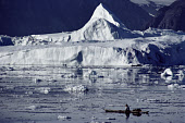 Inuit hunter, Qulutanguak out Narwhal hunting in his kayak in the ice strewn waters of Inglefield Bredning near Qeqertat. Northwest Greenland. (1980)