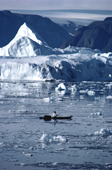 Inuit hunter, Qulutanguak in his kayak in the ice strewn waters of Inglefield Bredning, N.W. Greenland. 1980