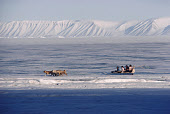 An Inuit family travelling by dog sled near Siorapaluk in the Spring. Northwest Greenland. (1989)