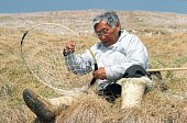 Qarqutsiaq Etah an elderly Inuit mending the mesh on his Ipu (long handled net) for catching Little Auks at Siorapaluk. NW Greenland. 1977