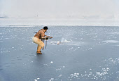 Inuit hunter, Peter Peary, on thin newly formed sea ice about to harpoon a walrus at its breathing hole near Pitoraavik. Siorapaluk, Northwest Greenland. (1977)