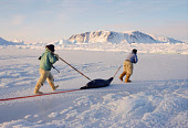 Inuit hunters drag a seal across the ice near Cape York. Melville Bay, N.W. Greenland. 1998