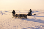 Inuit hunters with a dog team seal hunting at the floe edge near Cape York. Savissivik, Northwest Greenland. 1998