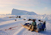 Ole Nielsen, an Inuit hunter, rests on his sled while seal hunting near Cape York, Melville Bay. Northwest Greenland. (1998)