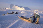 Ole Nielsen, an Inuit hunter rests his dog team while seal hunting in Melville Bay. Savissivik, Northwest Greenland. 1998
