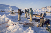 Inuit hunters eat a meal of boiled seal meat while hunting out at the floe edge near Cape York. Savissavik, Northwest Greenland. 1998
