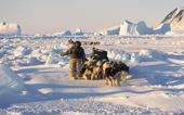 Simon Eliassen, an Inuit hunter, dressed in polar bear pants & boots, with reindeer skin parka, stops his dog team while seal hunting near Cape York. Savissavik, Northwest Greenland. 1998