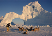 Inuit hunter untangles his dog traces by an ice arch in an iceberg. Melville Bay in March. North West Greenland. 1998