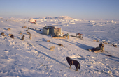 Huskies tethered outside a hunters' hut at Cape York. Savissavik, Northwest Greenland. 1998