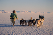 Ole Nielsen, an Inuit hunter walks infront of his dog team on new ice. Cape York, N.W. Greenland. 1998