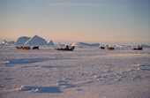 Inuit hunters travelling by dog sled on sea ice in Melville Bay. N.W. Greenland. 1998