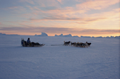 Inuit dog sleds travelling across the frozen sea near Cape York. N.W. Greenland. 1998