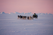 An Inuit dog sled travelling across the frozen sea near Cape York. N.W. Greenland. 1998
