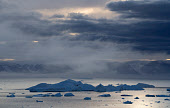 Icebergs & bergy bits in Inglefield Bay in dramatic light near Qaanaaq. Northwest Greenland.