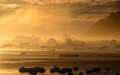 Icebergs & bergy bits in Inglefield Bay in golden autumn light near Qaanaaq. Northwest Greenland.