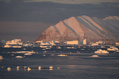 Icebergs in Inglefield Bay in front of Herbert Island at sunrise in the autumn. Qaanaaq, Northwest Greenland.(2021)