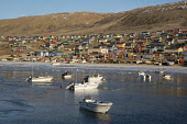 Hunters' boats in the harbour infront of the Inughuit settlement of Qaanaaq. Northwest Greenland. (2021)