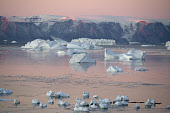 Icebergs in Inglefield Bay near Qaanaaq at dawn in the autumn. Qaanaaq, Northwest Greenland.(2021)
