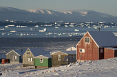 A view from the community of Qaanaaq towards Herbert Island with the sea studded with icebergs in the autumn. Qaanaaq, Avanersuaq, Northwest Greenland. (2021)
