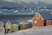 A view from the community of Qaanaaq towards Herbert Island with the sea studded with icebergs in the autumn. Qaanaaq, Avanersuaq, Northwest Greenland. (2021)