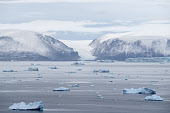 A view of the Politiken Glacier from Qaanaaq. Avanersuaq, Northwest Greenland. (2021)