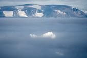 An iceberg protruding through fog in Inglefield Bay near Qaanaaq. Northwest Greenland (2022)
