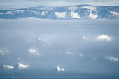 Icebergs protruding through fog in Inglefield Bay near Qaanaaq, Northwest Greenland (2022)