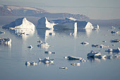 Icebergs and fog in the calm water of Inglefield Bay near Qaanaaq, Northwest Greenland (2022)
