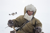 Chukchi hunter, Geora Eymetitin, driving his dog sled. Chukotkiy Peninsula, Chukotka, Siberia, Russia. 2002
