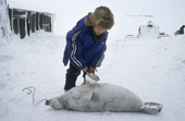 Out of respect to the spirit of a dead seal, a Chukchi boy, Vasa Pilanto, pours over it. Chukotka, Siberia. 2002