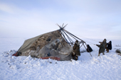 Chukchi reindeer herders putting the cover on a Yaranga (traditional tent). Chukotskiy Peninsula, Chukotka, Siberia, Russia. 2010