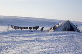 Fur clothing & reindeer skins hanging to dry outside a Yaranga (tent) at reindeer herders' winter camp on the tundra. Chukotskiy Peninsula, Chukotka, Siberia, Russia. 2010