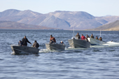 Hunters from the Yupik Eskimo village of New Chaplino, towing a dead grey whale back to their camp after a hunt in the Checheykiyum Strait. Beringia National Park, Providensky Region, Chukotka, Russian Far East