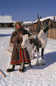Marta, an Evenki woman with two draft reindeer in Surinda. Evenkiya, Siberia, Russia. 1997