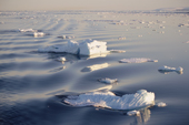 Icebergs & sea ice in calm water off Franz Josef Land. Russia. 2004