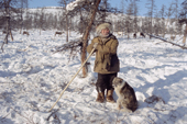 Even reindeer herder & his dog watch over the herd at their winter pastures. N. Evensk, Magadan Region, E. Siberia, Russia. 2006
