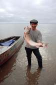 Victor, a Nivkhi fisherman, holds a taimen caught in Niva Bay. Sakhalin Island, Russian Far East. 2006