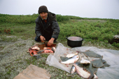 Vassilly Solovyov, an Evenk reindeer herder, cleaning fish at his summer camp in Piltun Bay. Sakhalin Island, Russian Far East. 2006
