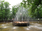 Fountain in the grounds of Peterhof Palace. Near St. Petersburg, Russia. 2010
