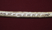 A detail from a Chuckchi engraved bucket handle made from mammoth ivory. Eastern Siberia, Russia. 2010