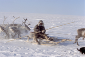 A Dolgan man driving a reindeer sled across frozen tundra during the winter. Taymyr, Northern Siberia, Russia. 2004