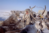 A Dolgan reindeer herder, covered in frost while working with his reindeer during the winter. Taymyr, N.Siberia, Russia. 2004