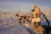 Andrey Moldanov, a Khanty reindeer herder standing on his sled. Khanty Mansiysk, W.Siberia, Russia. 2000